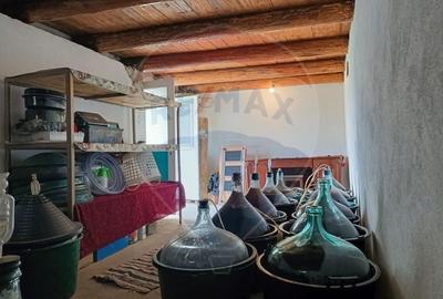 Vanzare casa la munte - zona turistica - Baia de Fier - 9