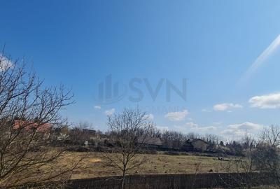 Teren Construcții intravilan de 4285 mp, în Snagov - 2