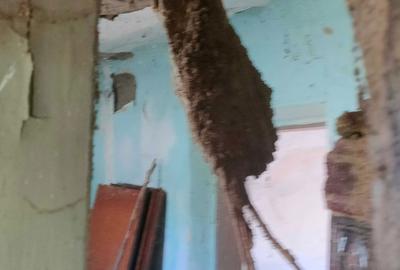 Casă cu 2 camere în Grădiștea - 2
