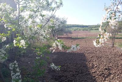 Casă cu 4 camere în Curteni - 2