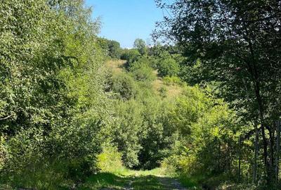 Spațiu comercial, în Casele Micești - 4