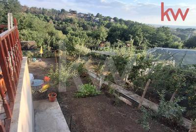 Dubla oportunitate intr-o singura achizitie, langa Primarie Carcea - 5