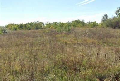 Spatiu industrial de vanzare in Otopeni cu teren de 59.900 mp - 4