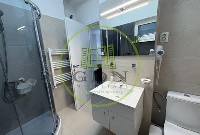 Apartament, 2 camere, open-space, Calea Bucuresti, Zona Electroputere - 7