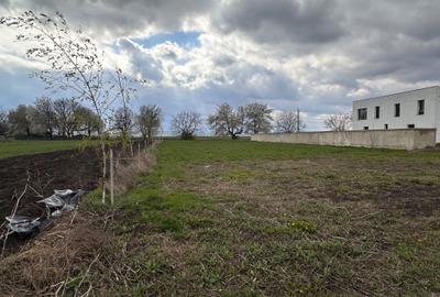 Casă cu 4 camere în Central - 6