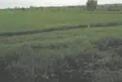 Teren extravilan Pietroasele, ID: R2586802 - 6