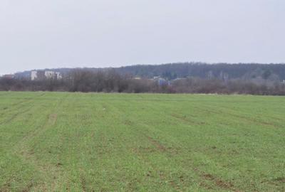 Teren intravilan ieftin Balotesti, 1100 mp, 25000 euro - 6