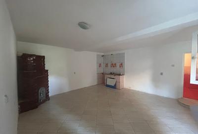 Casa P+1+M, 330 MP teren, 140 MP utili, Brestei - 15