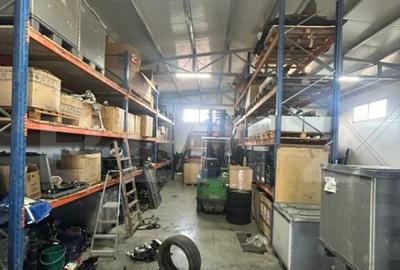 Hala de vanzare 365 mp, Mosnita Noua! - 3