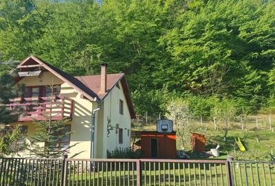 Casă cu 4 camere în Strungari - 2