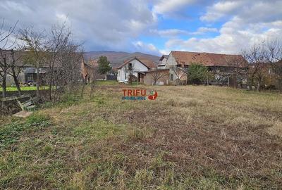 Casă cu 2 camere cu Teren 974 Mp în Micești - 2