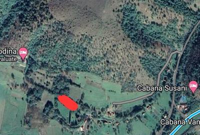 Spațiu comercial, în Negreni - 4