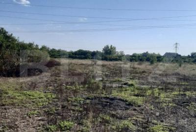 Teren de 2410 mp, în Răzvad