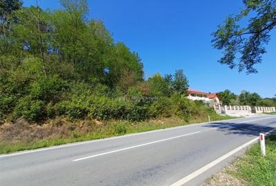 Resita, Teren Intravilan 700 Mp., 25 Euro/Mp., Calea Caranse - 9