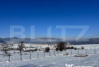 Teren de 1000 mp, în Tohănița - 2