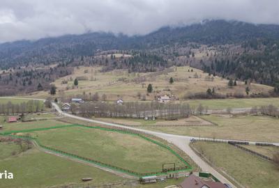 Teren de 6900 mp, în Plaiul Foii - 1