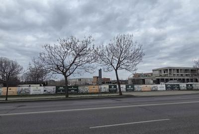 Teren de 3000 mp, în Central - 2