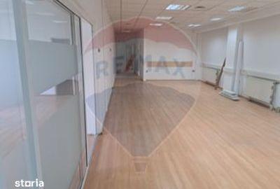 Spațiu comercial, de 2,100 mp, în Valea Rosie - 13