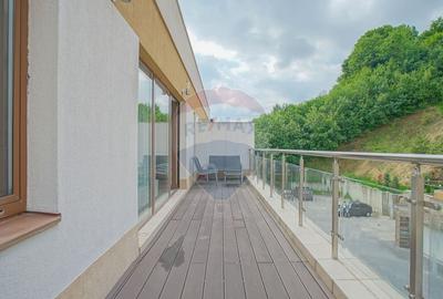 Apartament cu 2 camere semidecomandat, mobilat în Drumul Poienii - 6