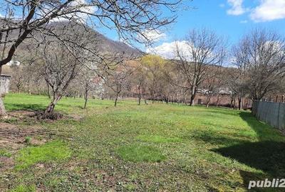 Str. Aurel Vlaicu (Valea Borcutului) - teren intravilan, 20 ari - 2