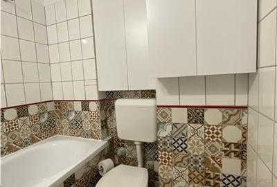 Vanzare apartament 2/3 camere Teiul Doamnei, cu centrala - 10