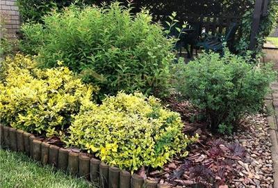 BRAYTIM - CASA INDIVIDUALA - 5 cam - 3 bai -  GARAJ - TERASA - PISCINA - IAZ - 9 - 14