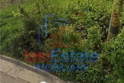 Spațiu comercial, în Rediu - 2