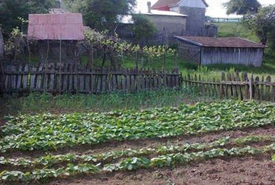 Casă cu 6 camere în Șopotu Nou - 5