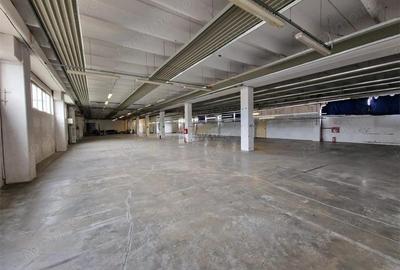 Resita CHIRIE Constructie tip hala 2 nivele 3298 Mp cu teren 6695 Mp - 11