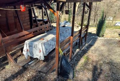 Teren Construcții intravilan de 1050 mp, în Pietrari (Păușești-Măglași) - 8