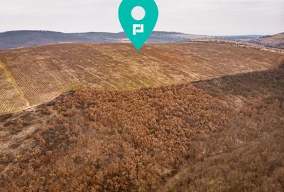 Teren agricol extravilan de 1150000 mp, în Dud - 6