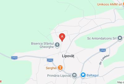 Casă individuală cu 3 camere cu Teren 1600 Mp în Lipovăț - 1