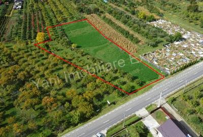 Teren de 2619 mp, în Oeștii Pământeni - 10