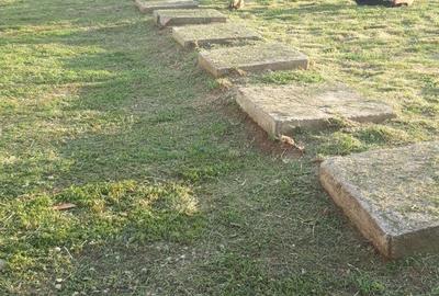 Casă cu 1 camere cu Teren 500 Mp în Măgurele - 8
