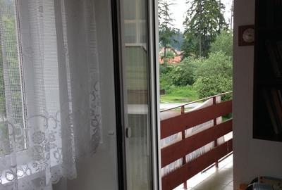 Apartamen Baile Tusnad - 3