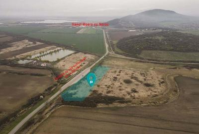 Teren extravilan in Ineu - 1