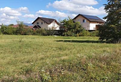 Spațiu comercial, în Cărpiniș - 6