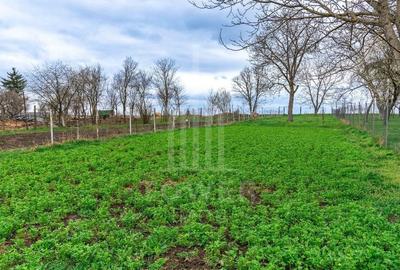 ? Casă spațioasă în Roșia, priveliște spre Munții Făgăraș - Comision 0% ? Casă spațioasă în Roșia, priveliște spre Munții Făgăraș - Comision 0% - 8