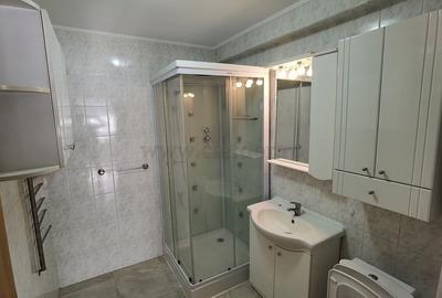 Vilă de lux in zona Iancu Nicolae - 13