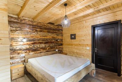 Casa de vacanta sau afacere la cheie in Loc. Nucsoara, jud. - 18