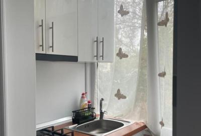 Apartament mobilat zona Valea Rosie, etajul 1 - 5