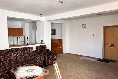 Apartament spatios 3 camere anl Tilisca Calea Poplacii - 10