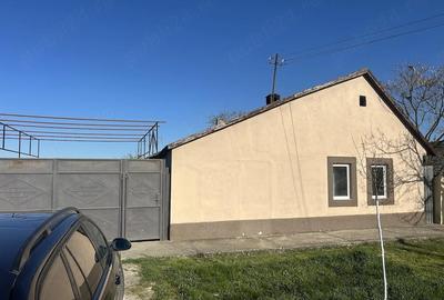 Casă cu Teren 8000 Mp în Central - 3