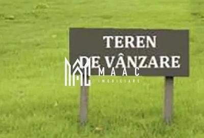 Teren Extravilan | 2475 mp | Selimbar