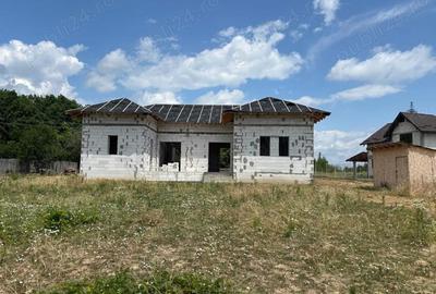 Casă cu 4 camere cu Teren 4174 Mp în Slătioarele - 3