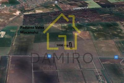 Teren Intravilan 5000 mp Buftea Tamasi - 2