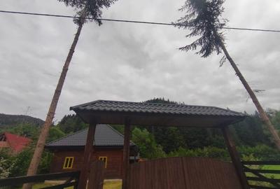 Casa de vacanta , zona Soarecului , Marginea - 9