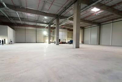 INCHIRIERE SPATII INDUSTRIALE - INCITY BACAU - 7