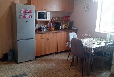 Casa Beregsau Mic caramida strada principala ,teren mare - 4