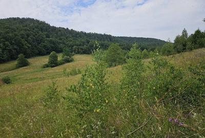 Teren de 5500 mp, în Hurez - 3